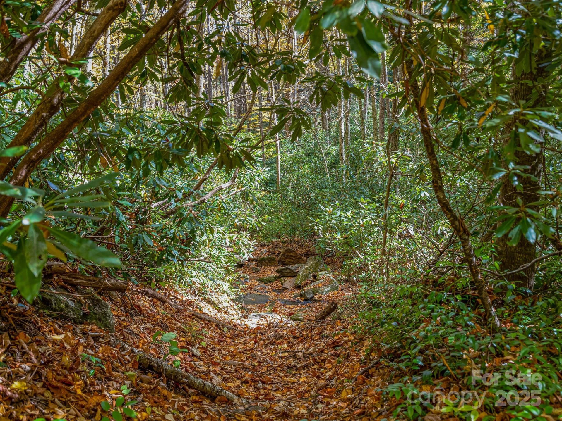 9999 Club Boulevard - Photo 15