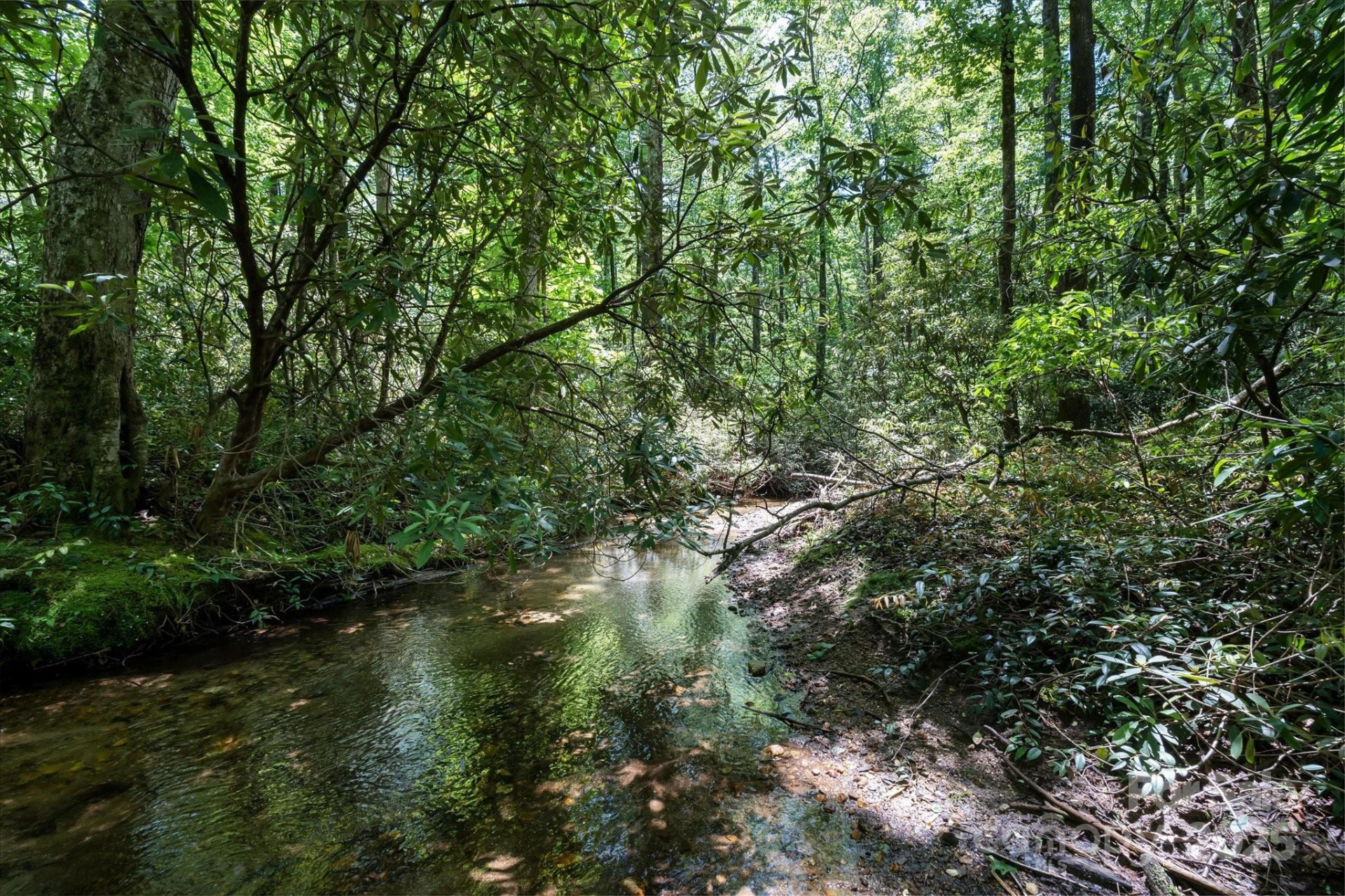 9999 Club Boulevard - Photo 16