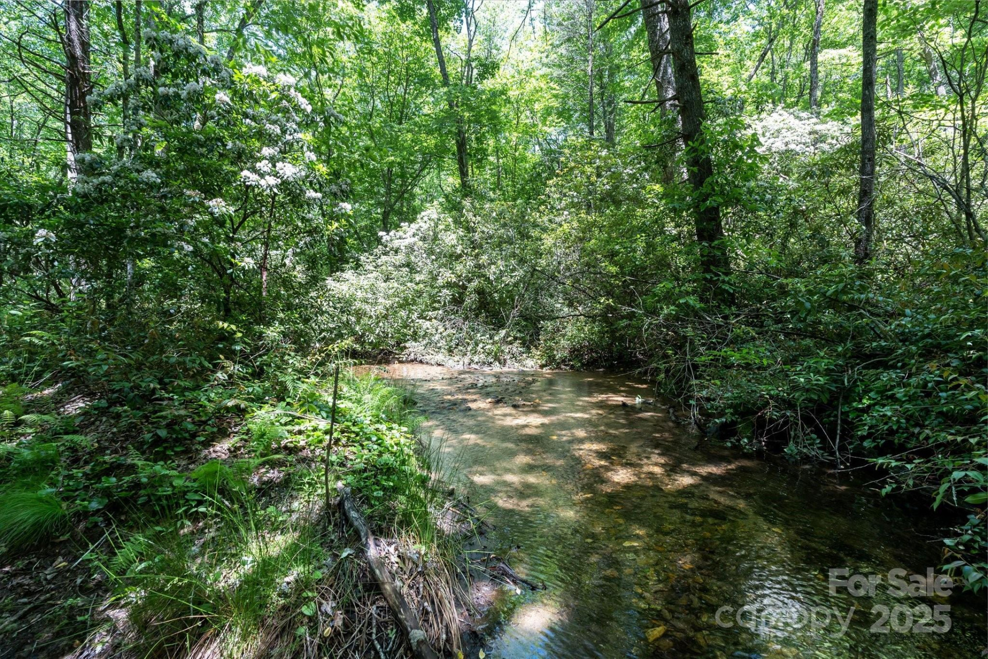 9999 Club Boulevard - Photo 17