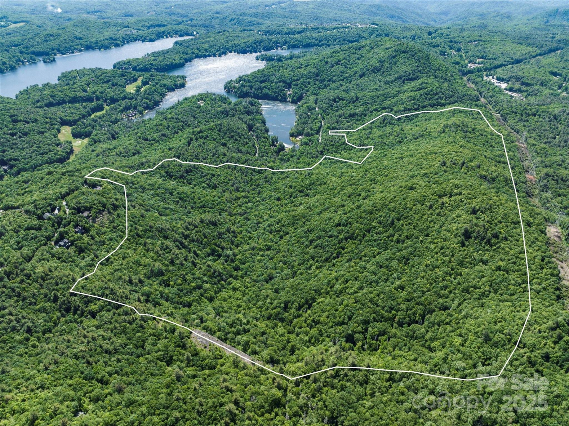 9999 Club Boulevard - Photo 3