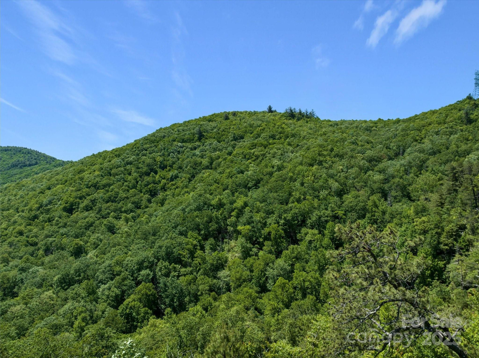 9999 Club Boulevard - Photo 21