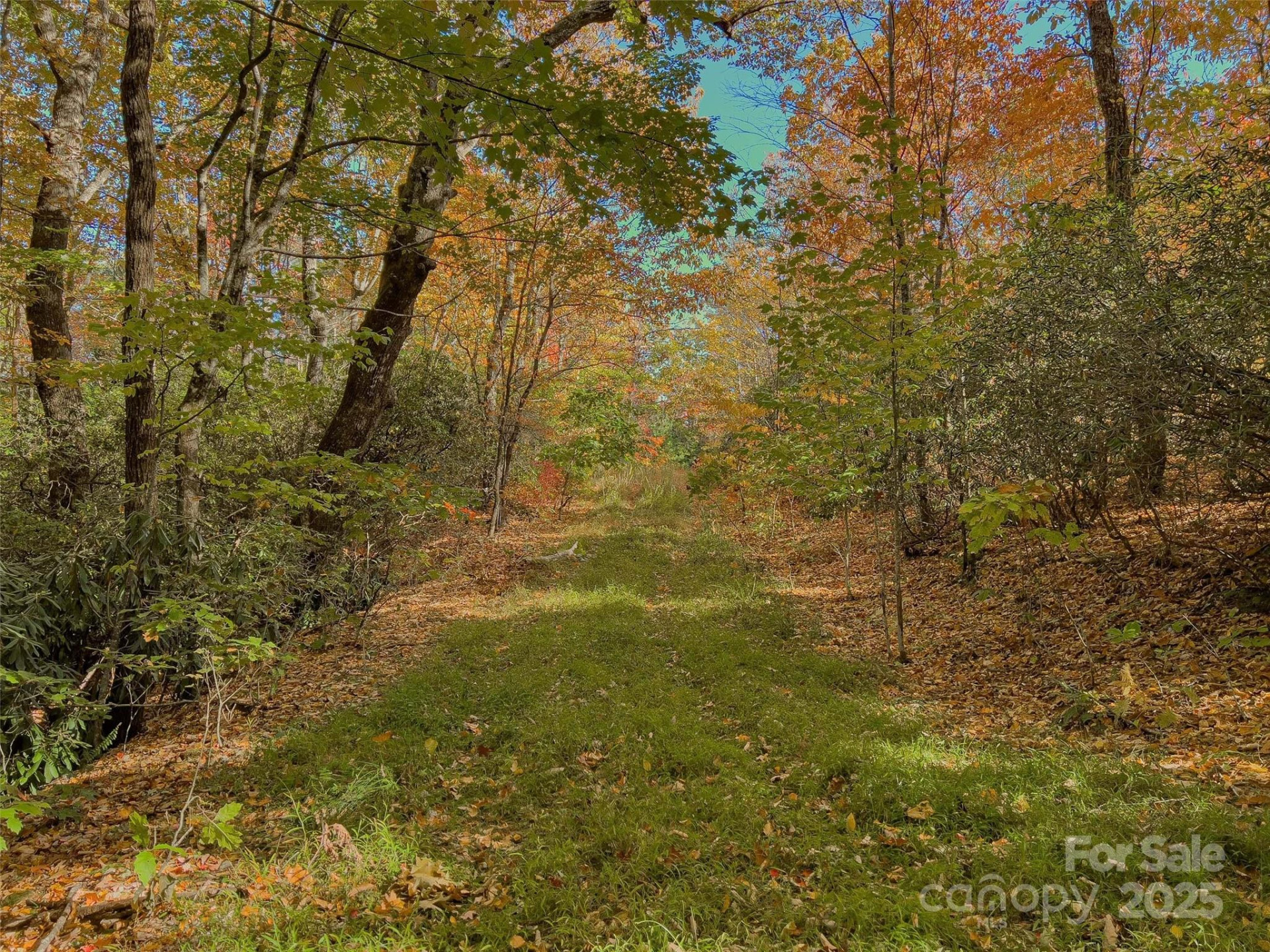 9999 Club Boulevard - Photo 22