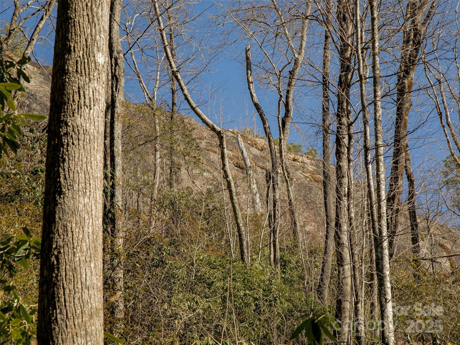 9999 Club Boulevard - Photo 27