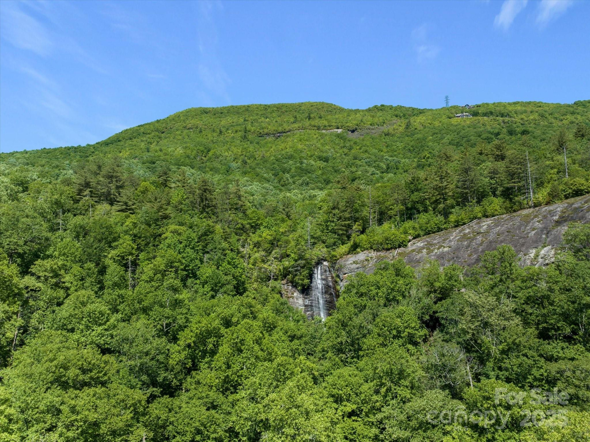 9999 Club Boulevard - Photo 4