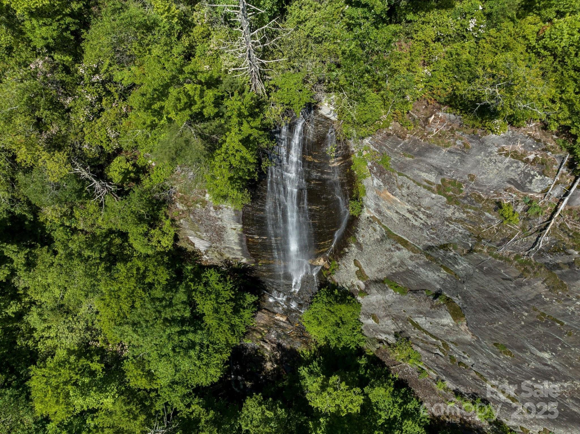 9999 Club Boulevard - Photo 6