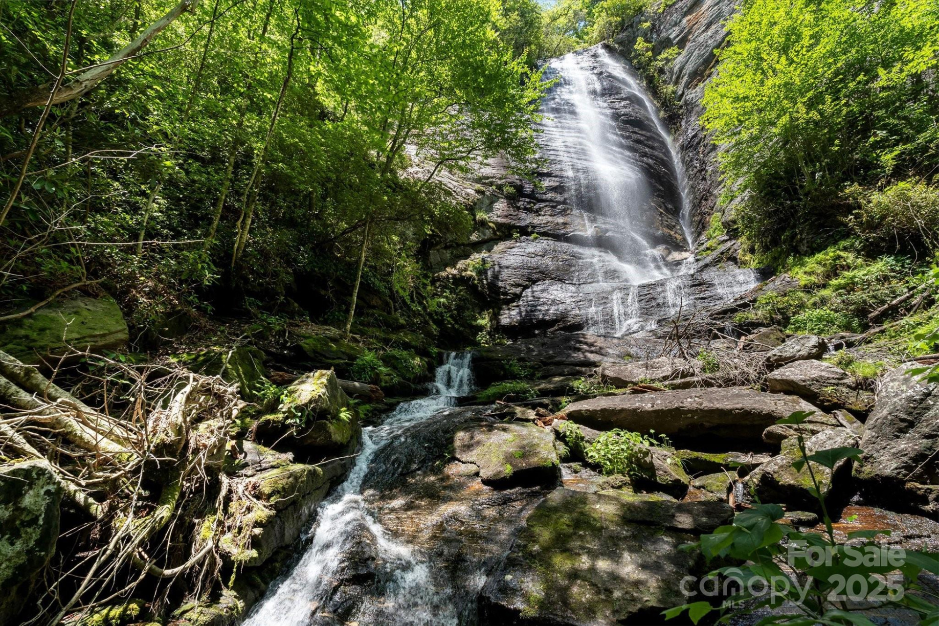 9999 Club Boulevard - Photo 7