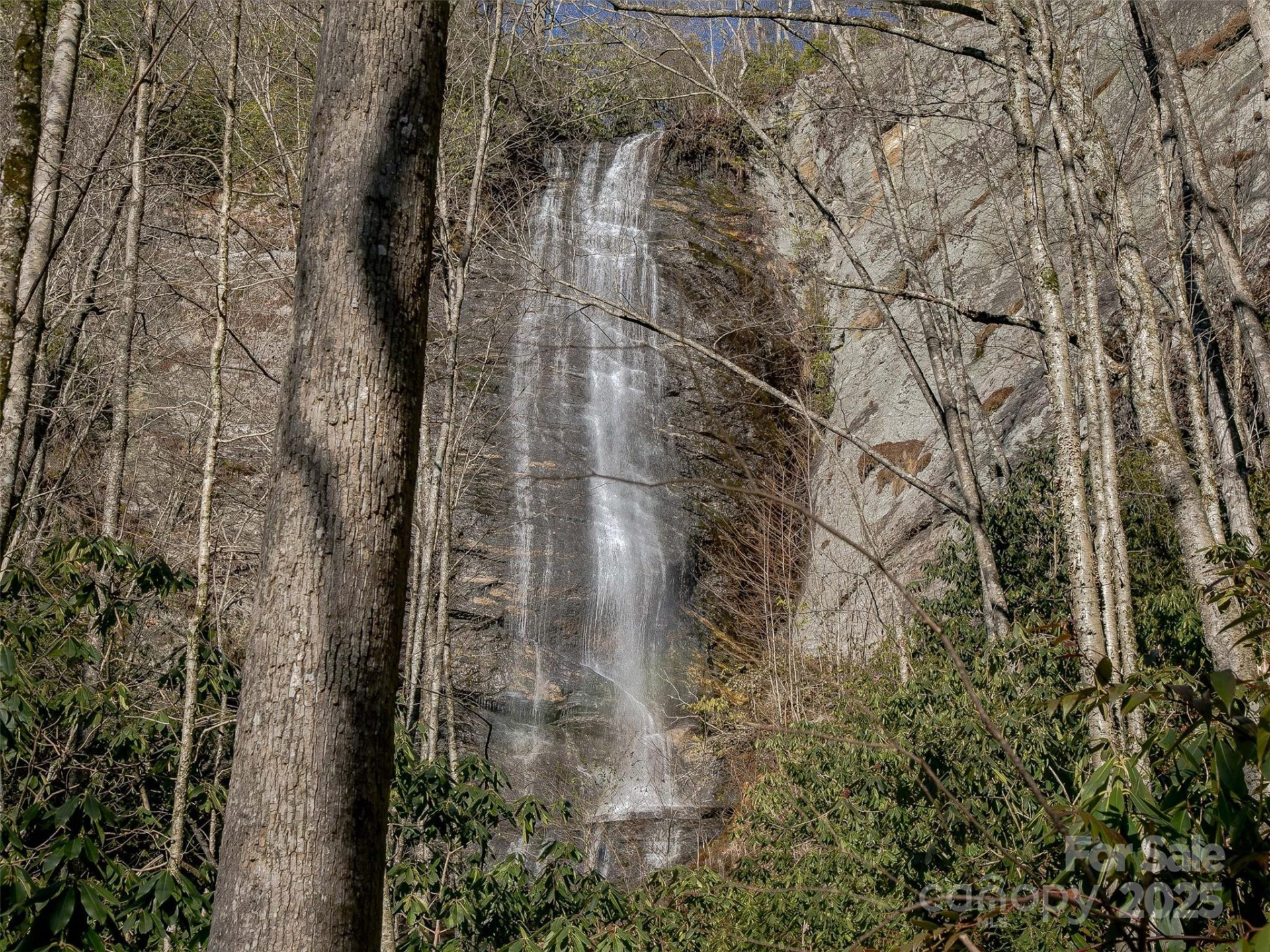 9999 Club Boulevard - Photo 9