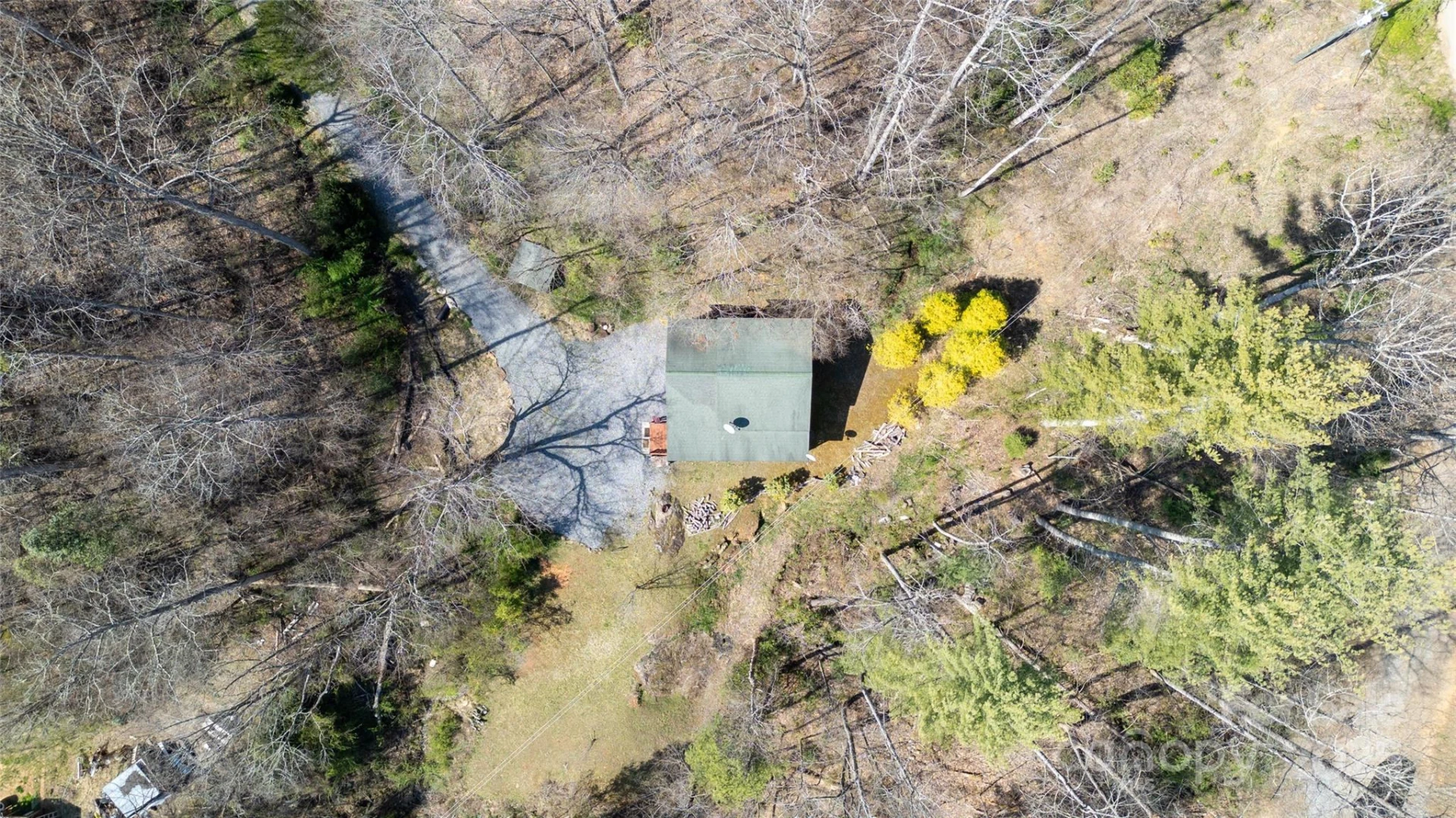 215 Honeysuckle Lane - Photo 18