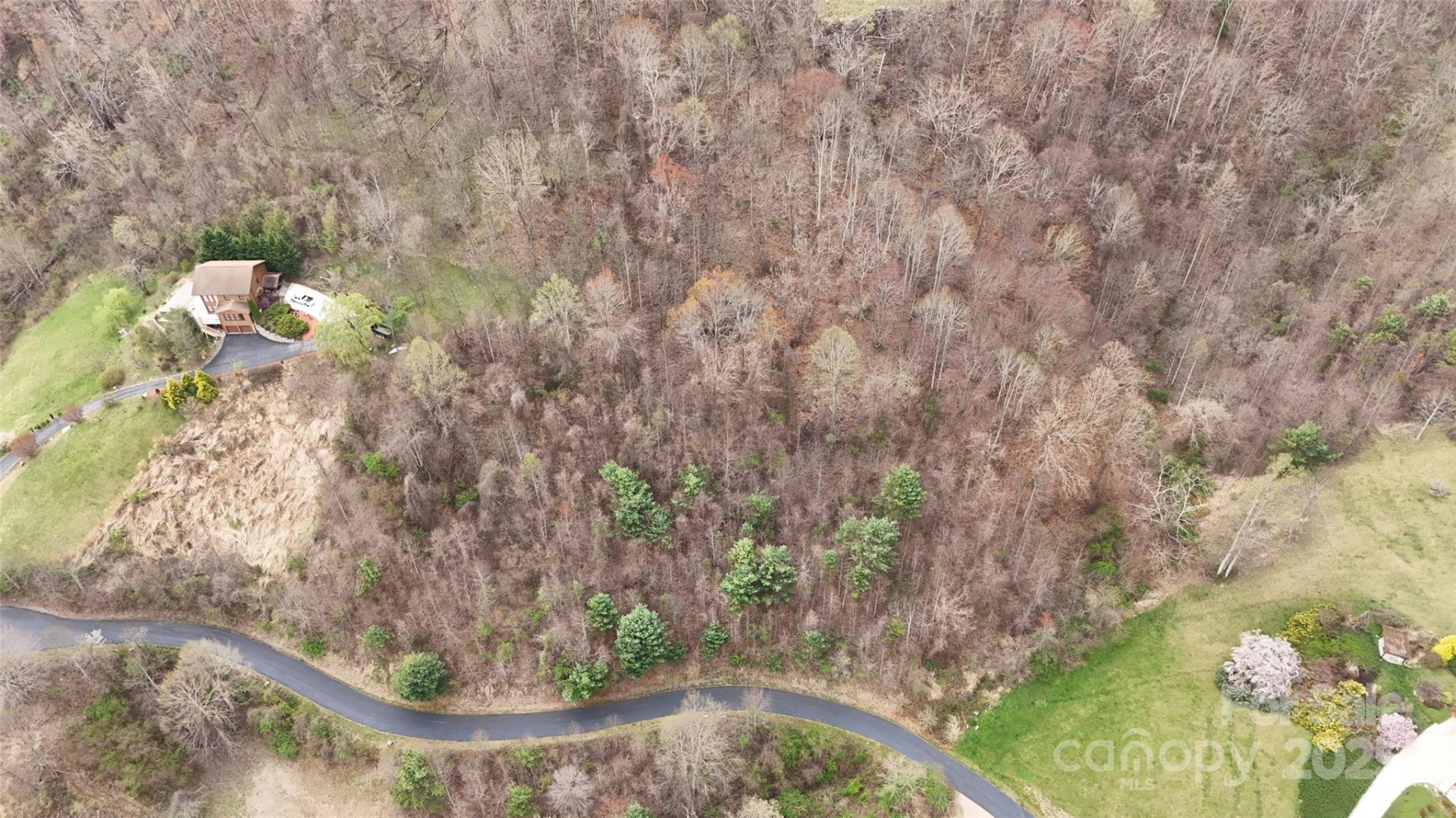 380 Serenity Mountain Lane - Photo 3