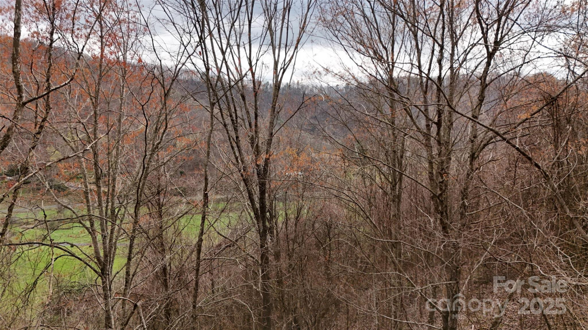 380 Serenity Mountain Lane - Photo 7