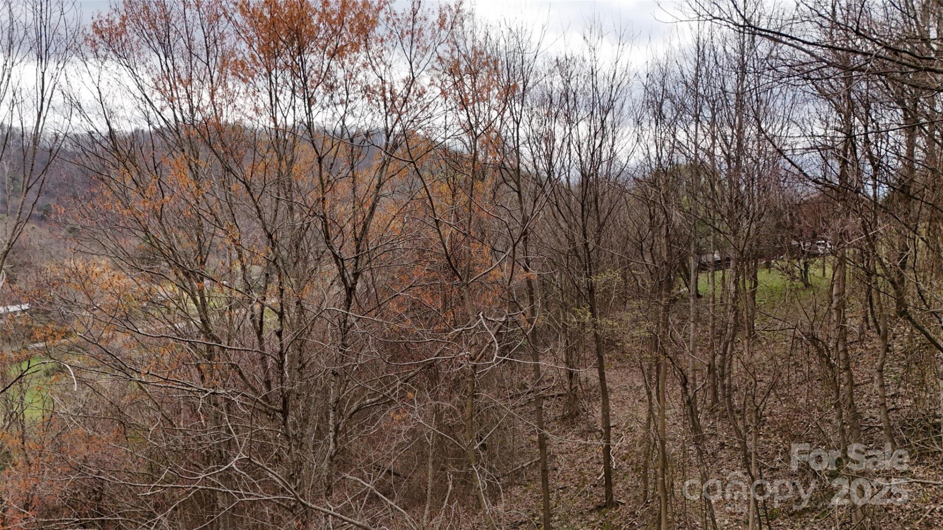 380 Serenity Mountain Lane - Photo 8