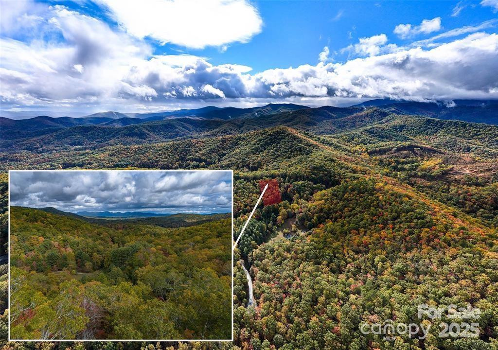 99999 Mills River Way #107