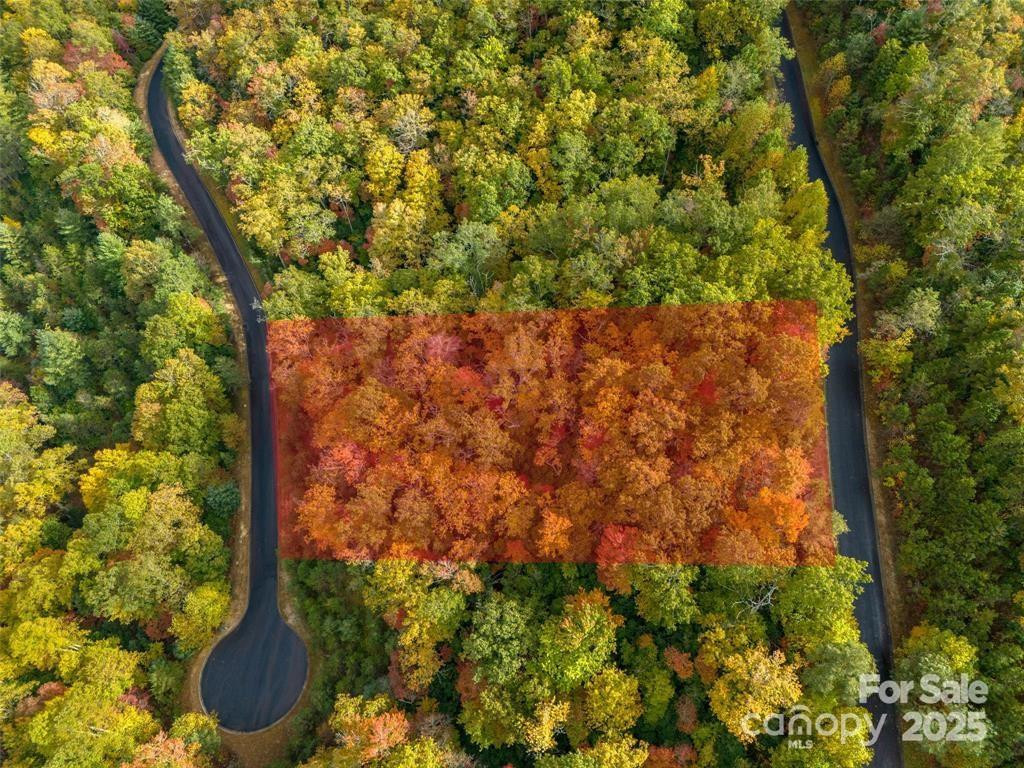 99999 Mills River Way #107 - Photo 2