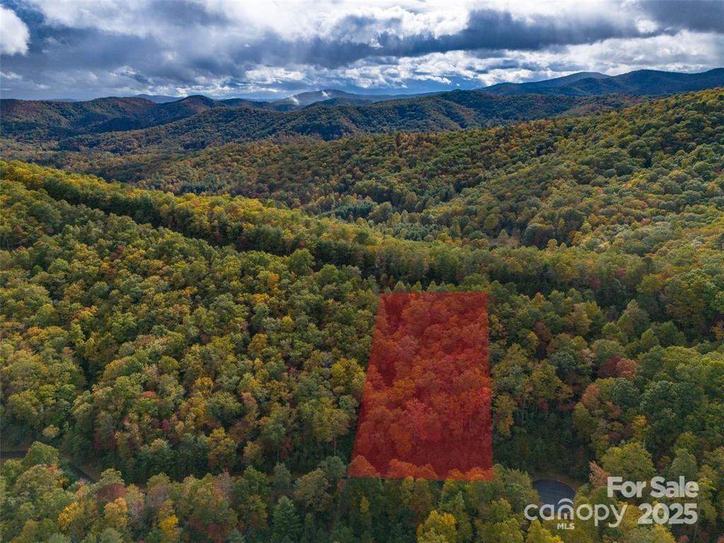 99999 Mills River Way #107 - Photo 4