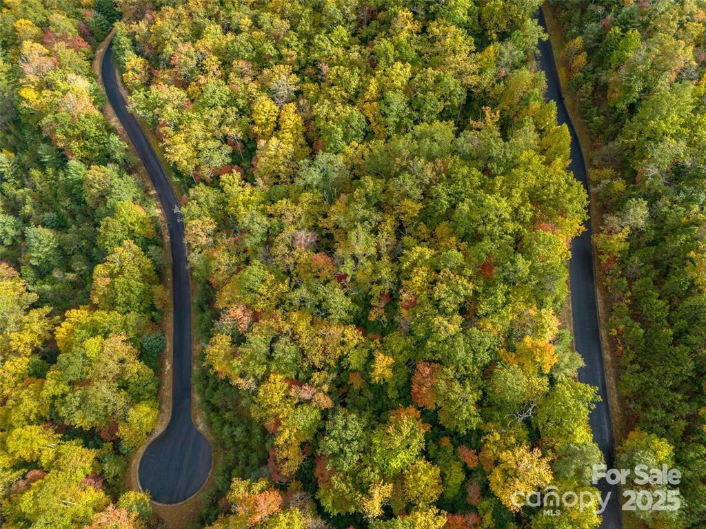 99999 Mills River Way #107 - Photo 5