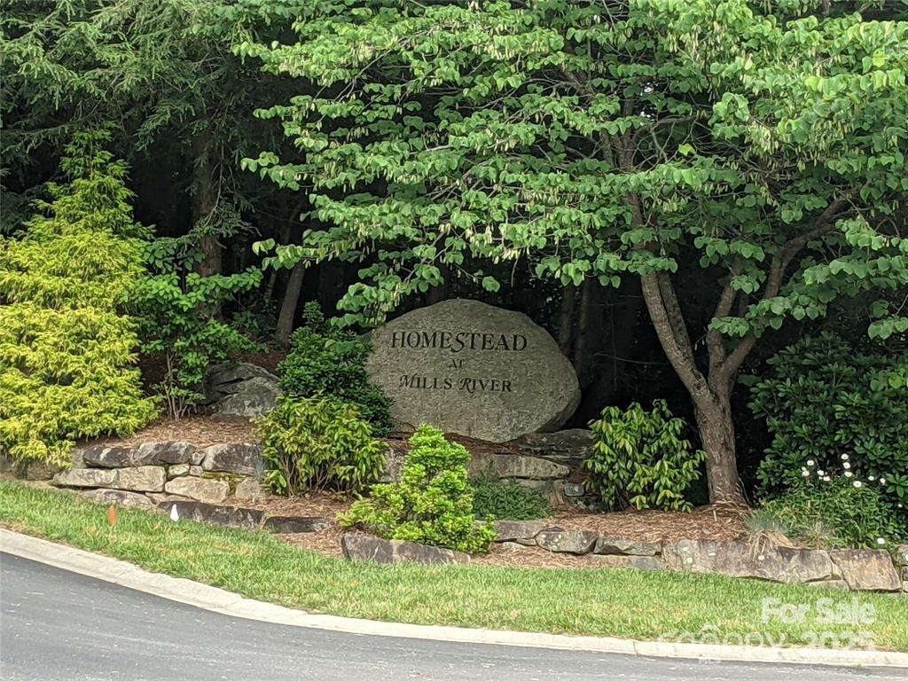 99999 Mills River Way #107 - Photo 6