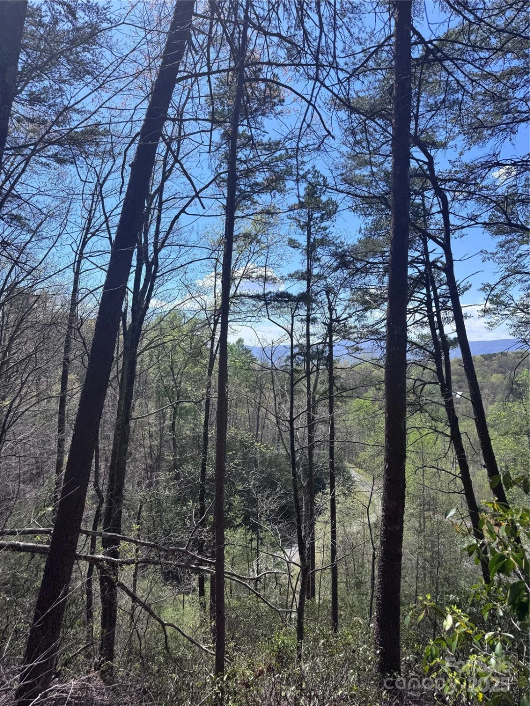 0 High Pines Loop #162 - Photo 11