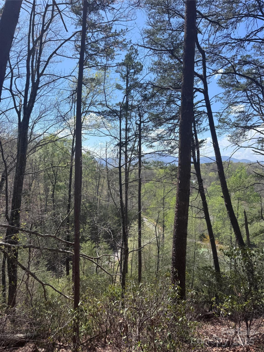 0 High Pines Loop #162 - Photo 12