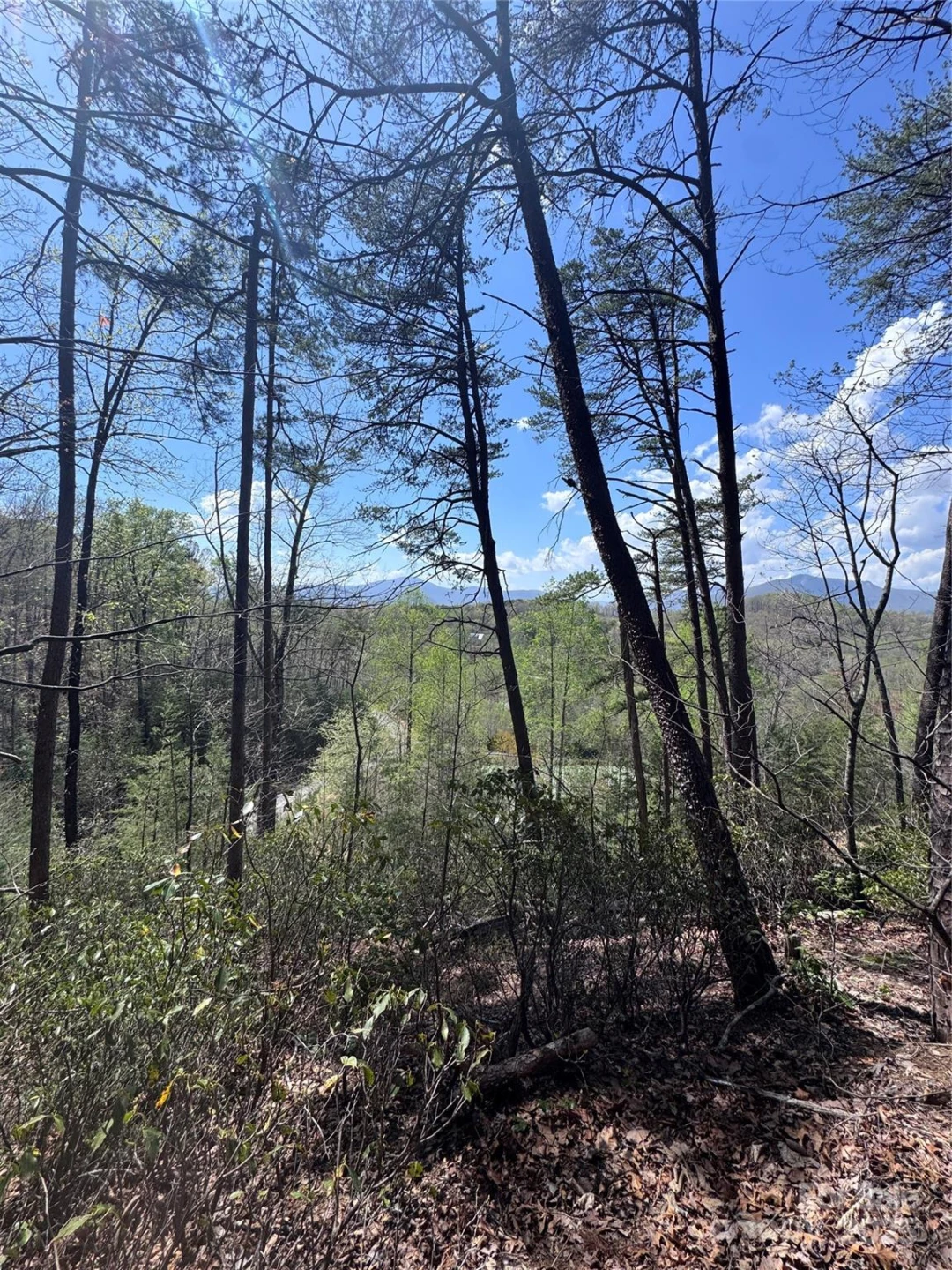 0 High Pines Loop #162 - Photo 13