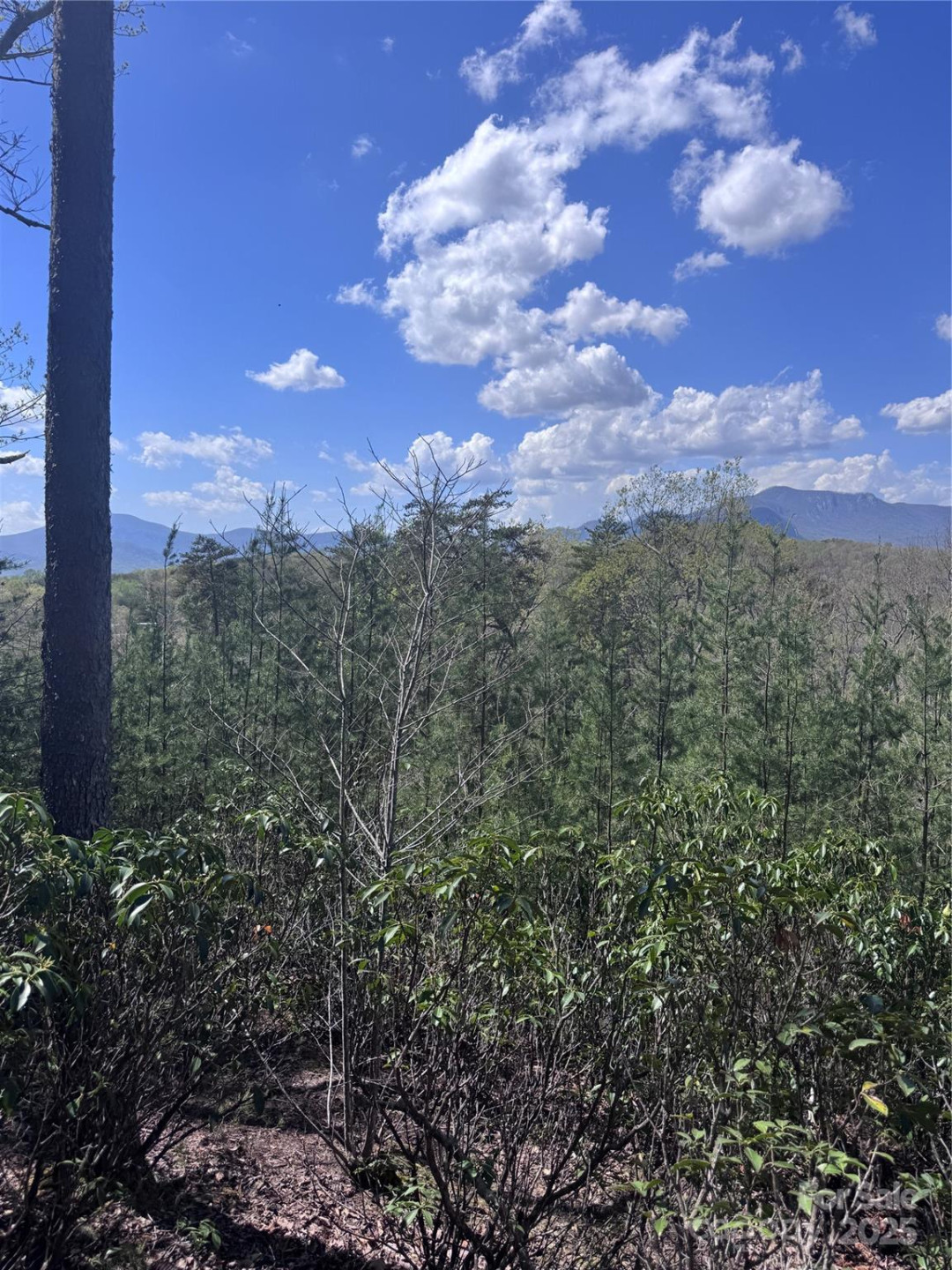 0 High Pines Loop #162 - Photo 3