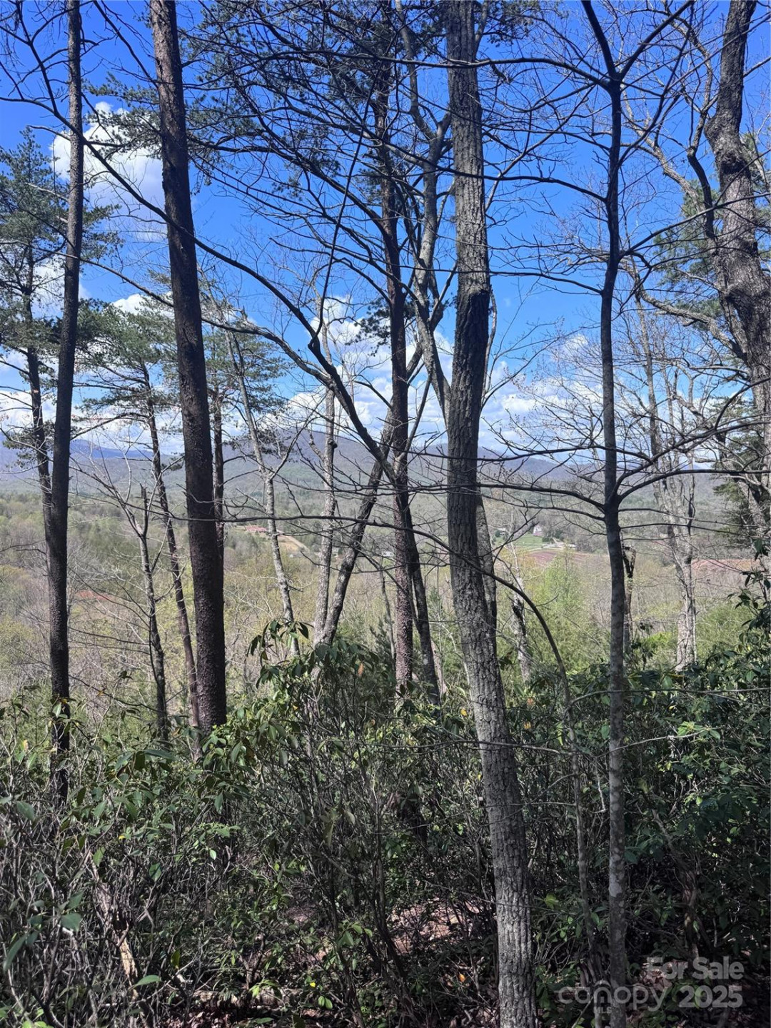 0 High Pines Loop #162 - Photo 4