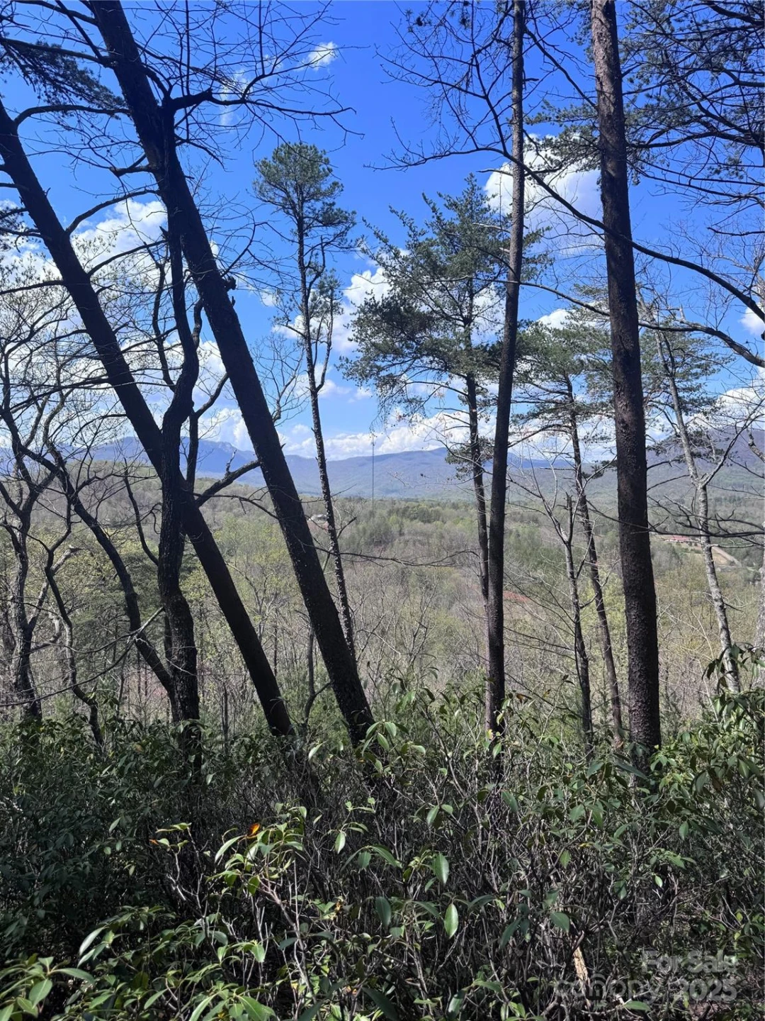 0 High Pines Loop #162 - Photo 5