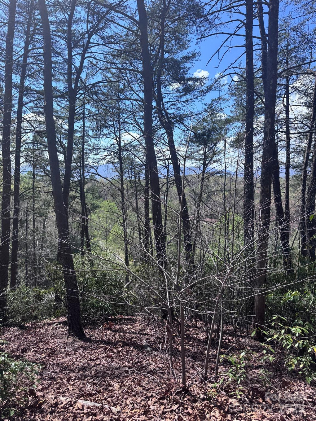 0 High Pines Loop #162 - Photo 6