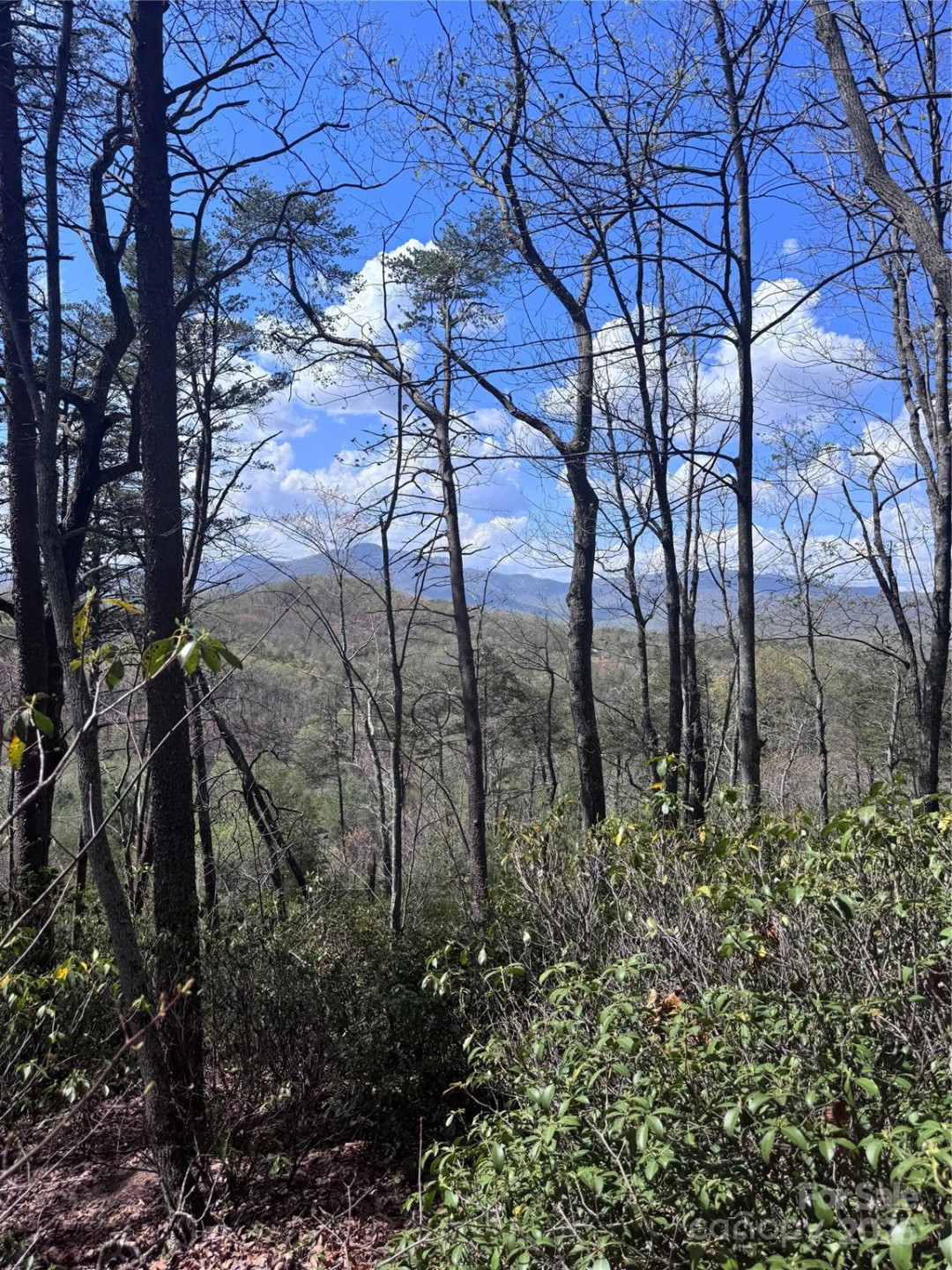 0 High Pines Loop #162 - Photo 7