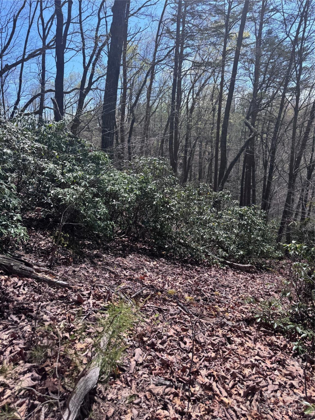 0 High Pines Loop #162 - Photo 8