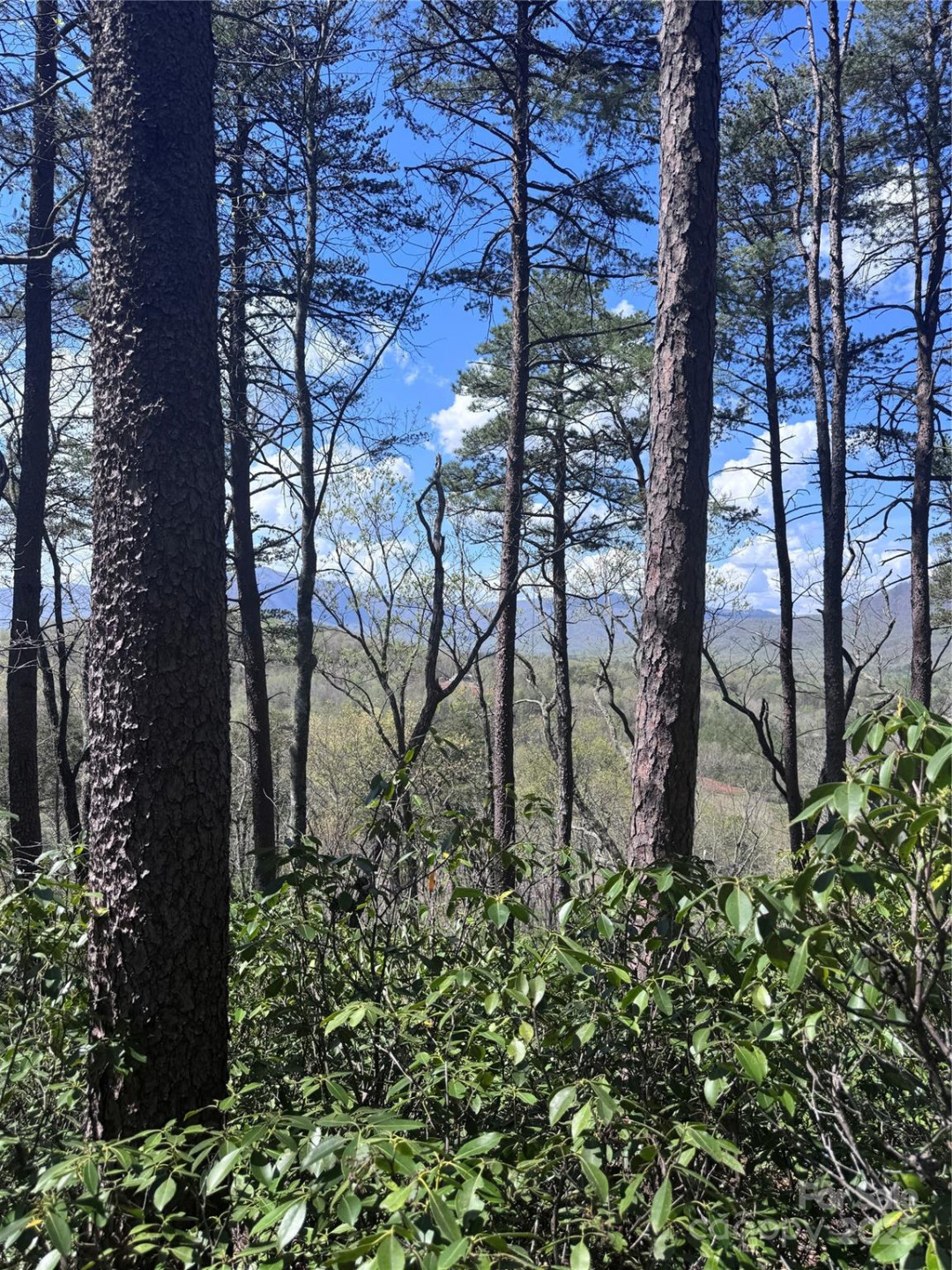 0 High Pines Loop #162 - Photo 9