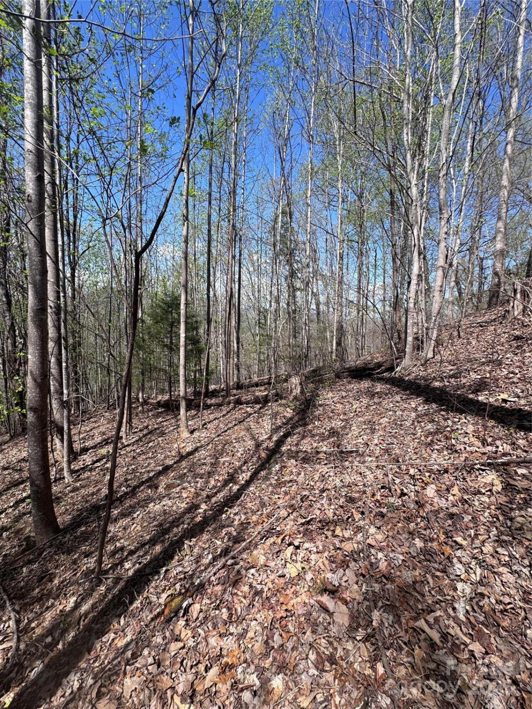 0 High Pines Loop #158 - Photo 2