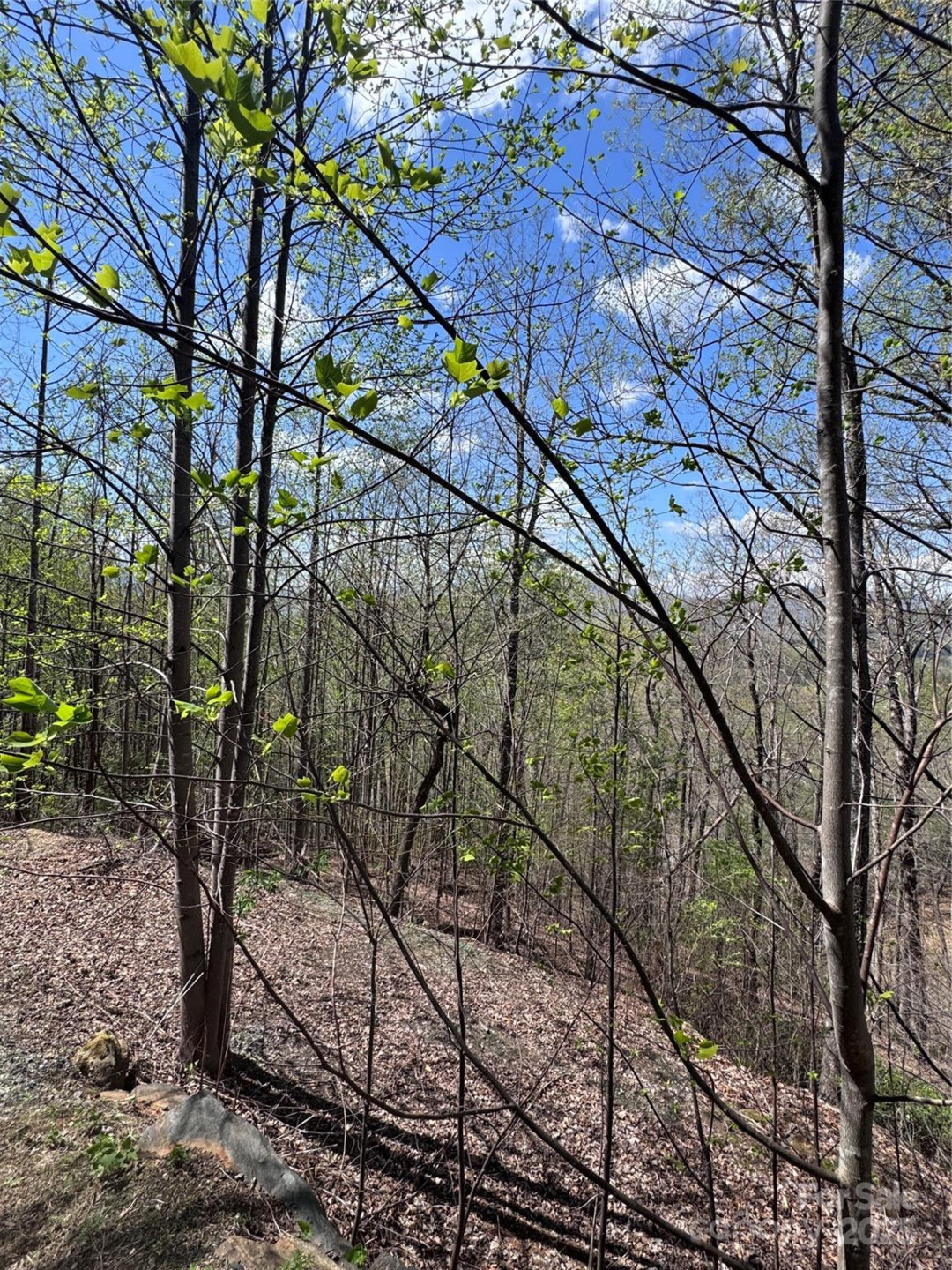 0 High Pines Loop #158 - Photo 11