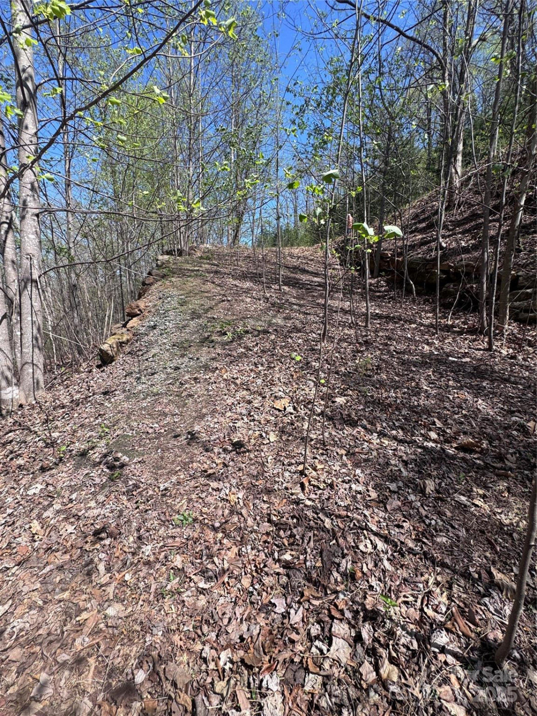 0 High Pines Loop #158 - Photo 7