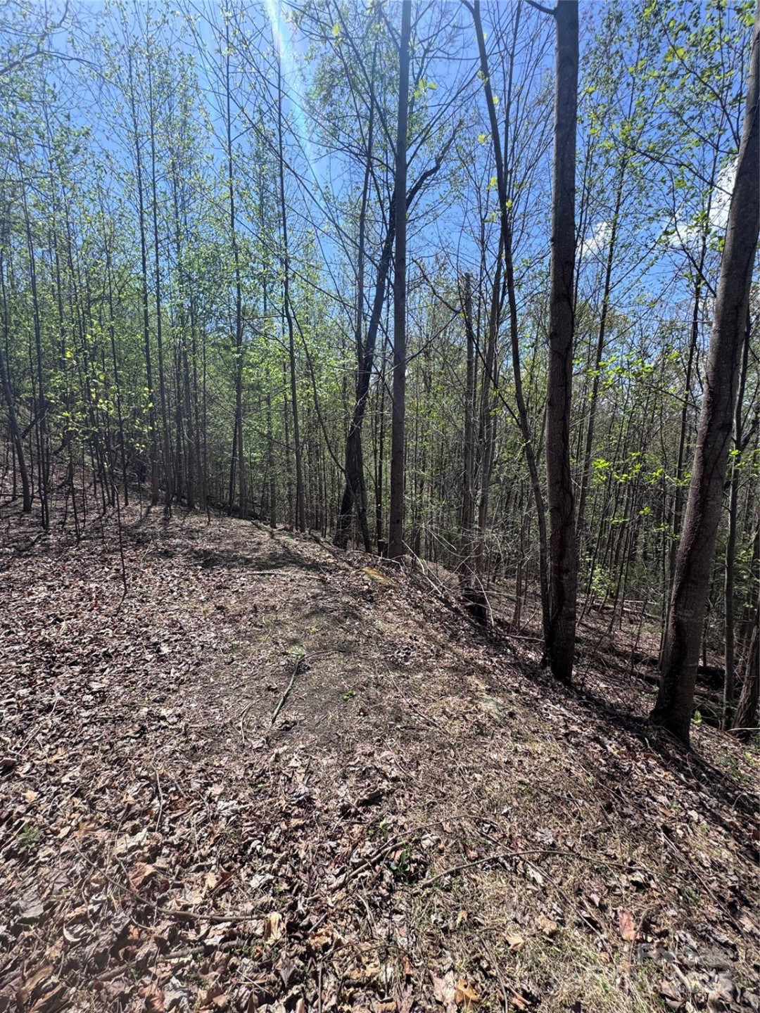 0 High Pines Loop #158 - Photo 8