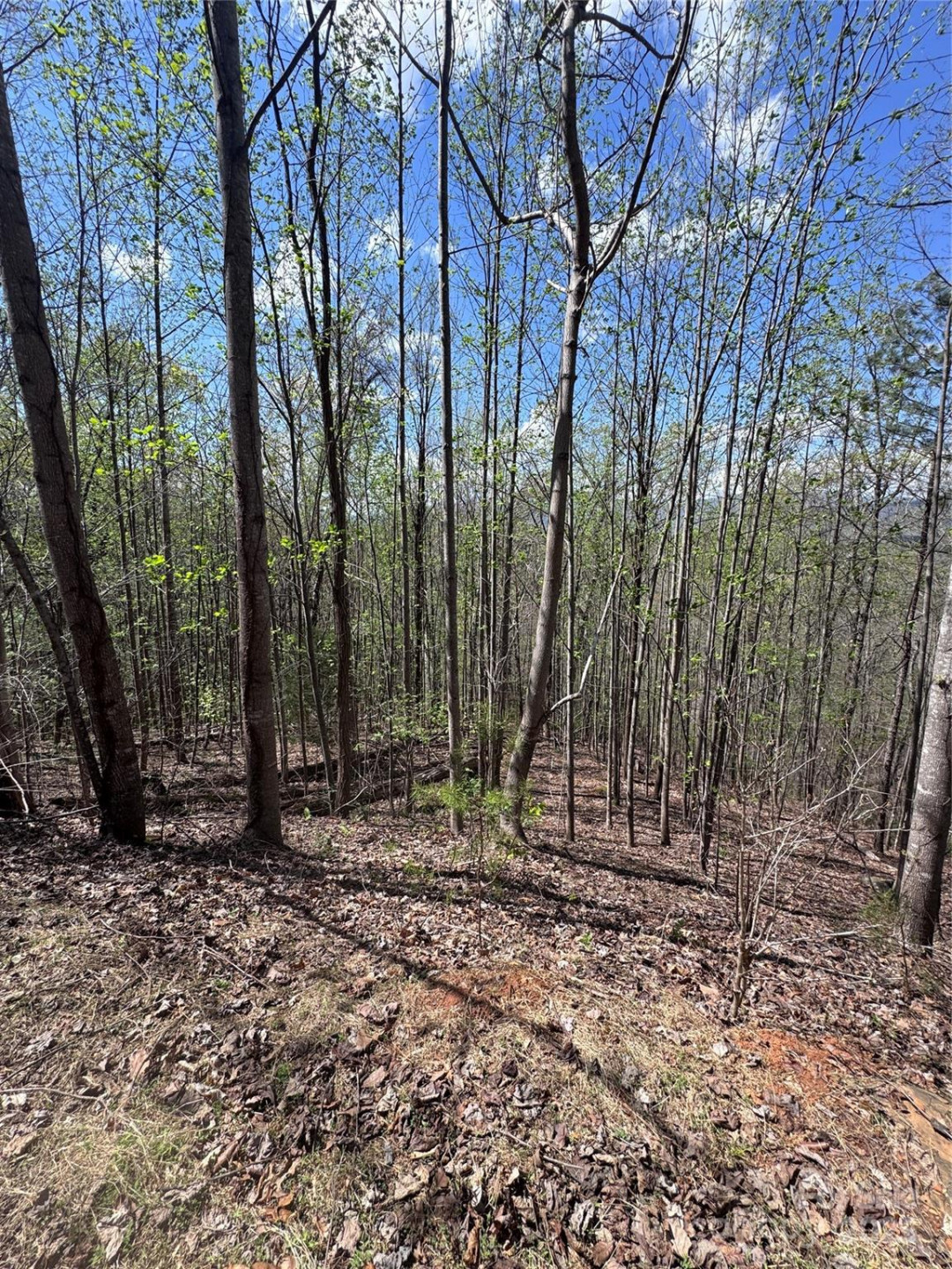 0 High Pines Loop #158 - Photo 9