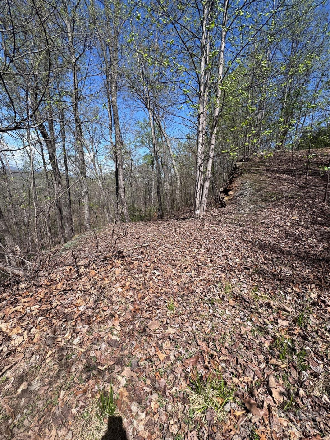 0 High Pines Loop #158 - Photo 10