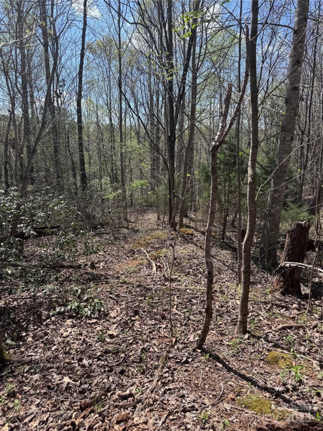 0 Brookside Parkway #10
