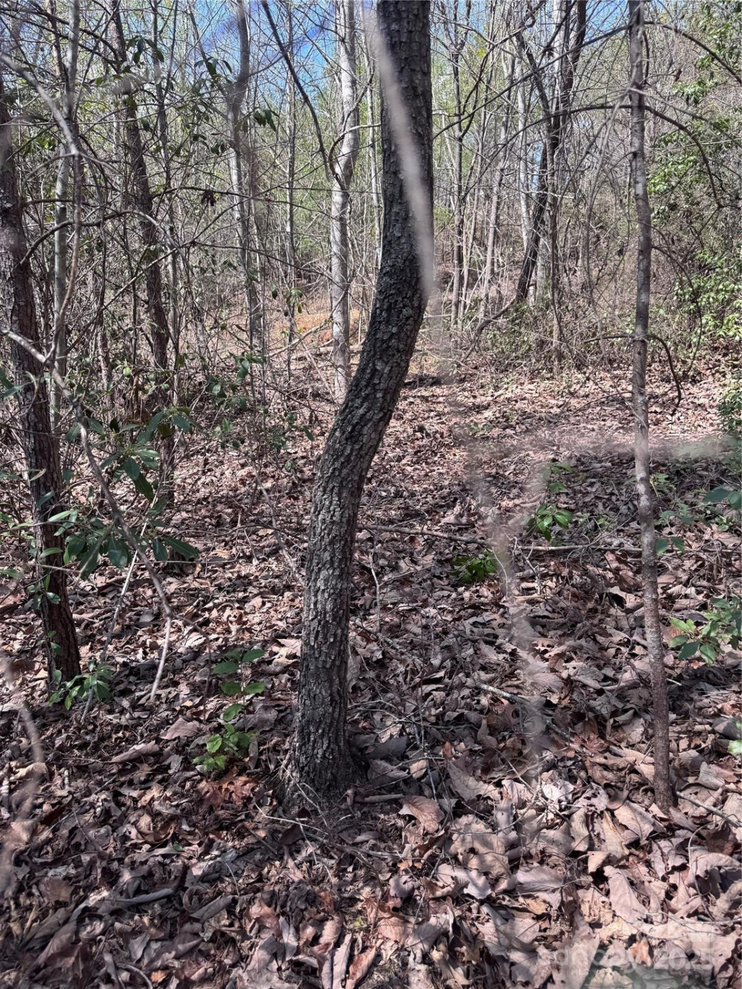 0 Brookside Parkway #10 - Photo 2