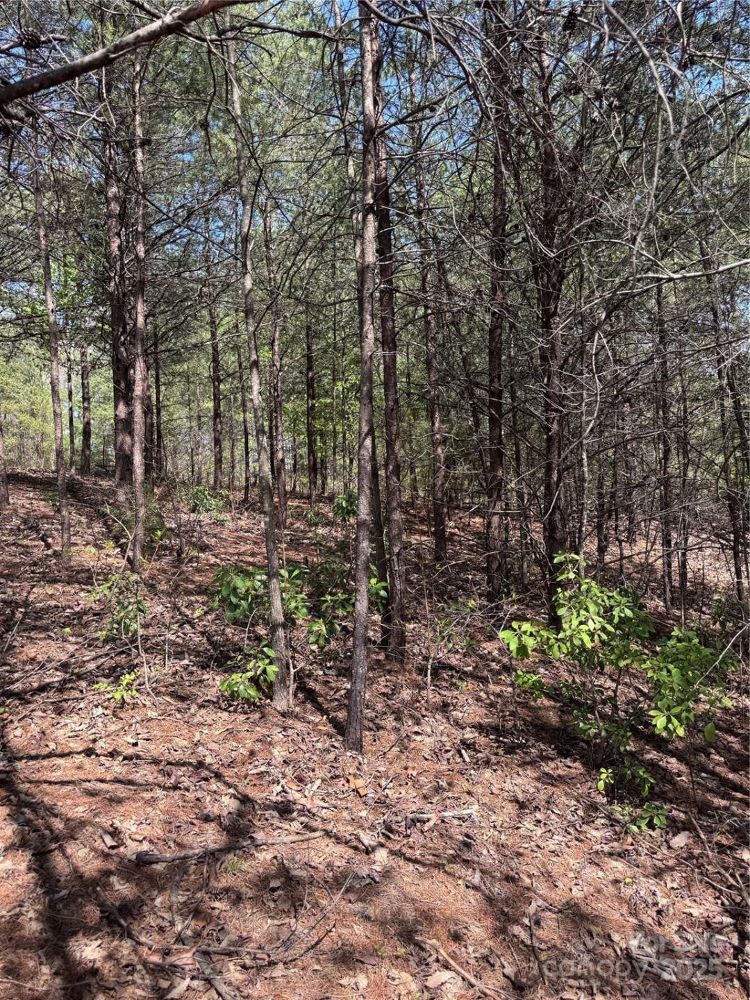 0 Brookside Parkway #10 - Photo 3