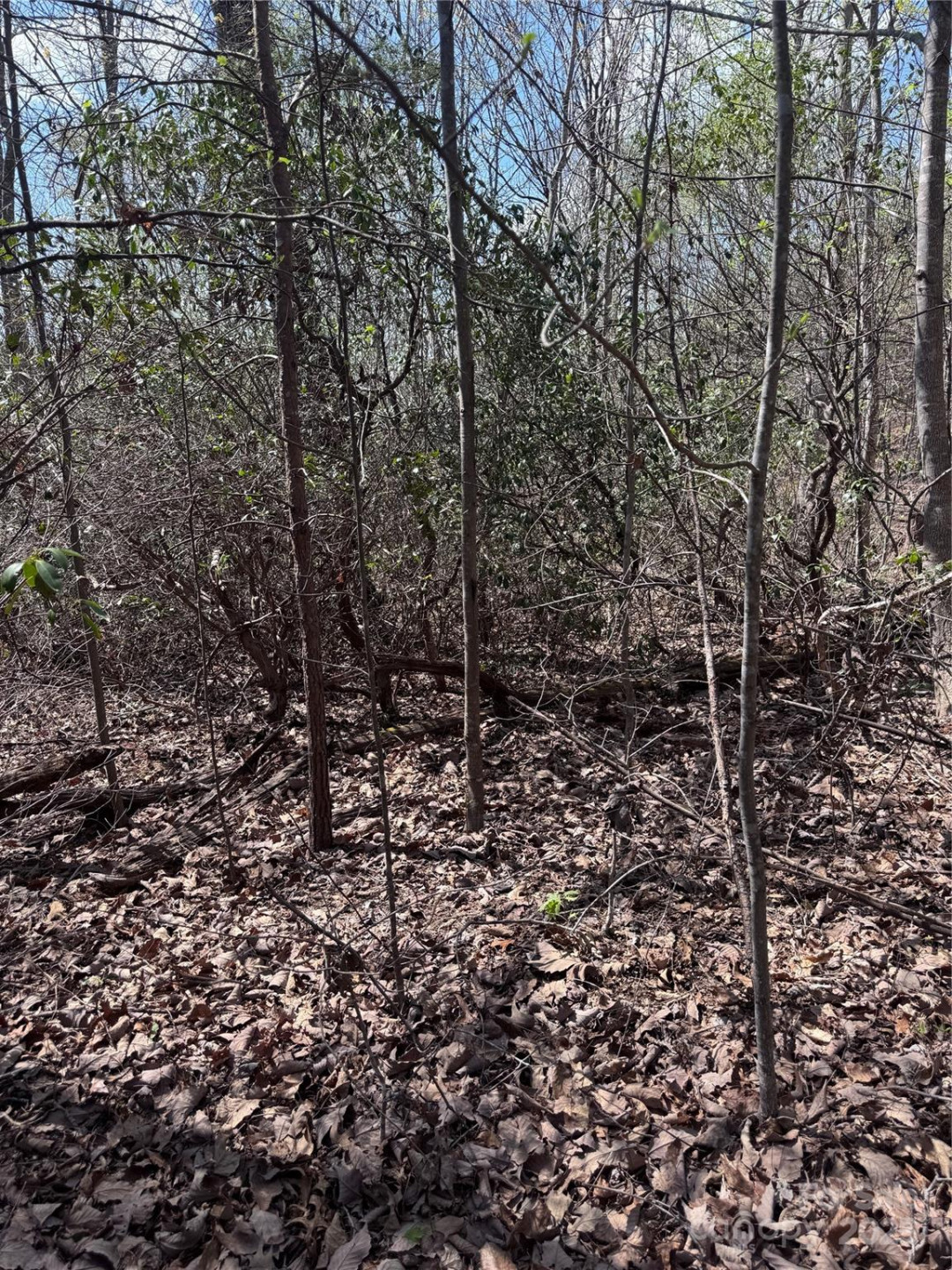 0 Brookside Parkway #10 - Photo 4