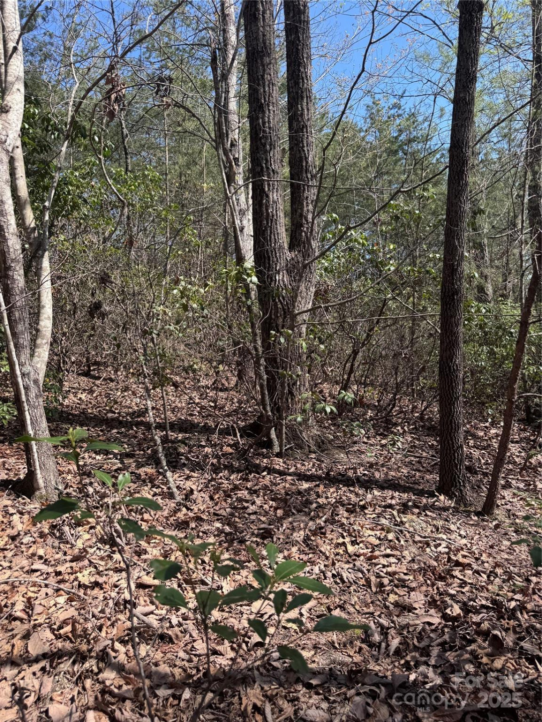 0 Brookside Parkway #10 - Photo 5