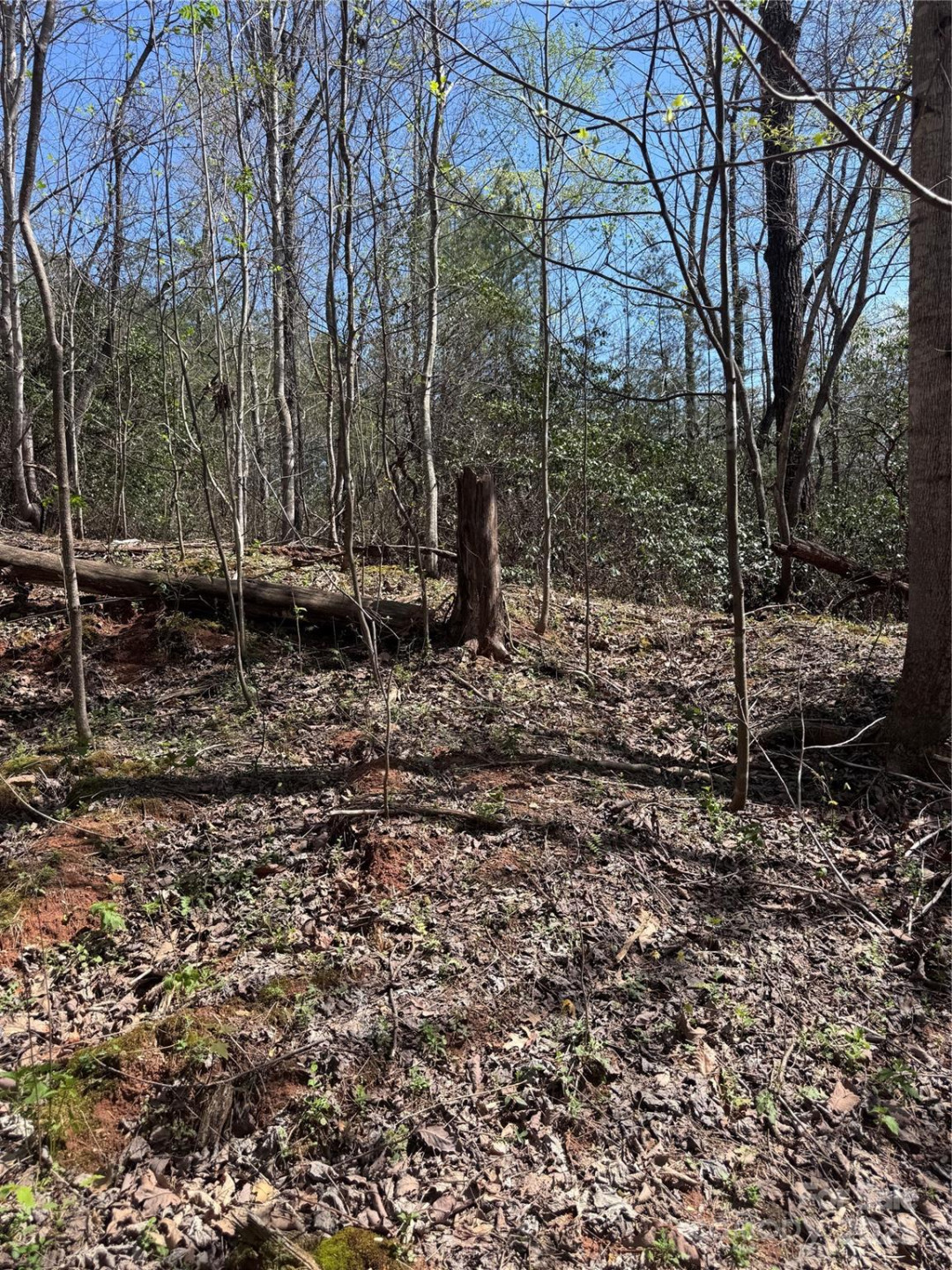 0 Brookside Parkway #10 - Photo 6