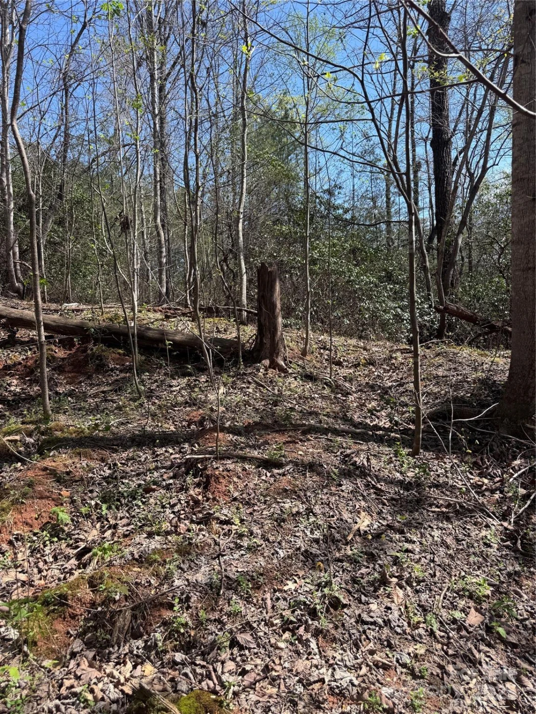 0 Brookside Parkway #10 - Photo 6