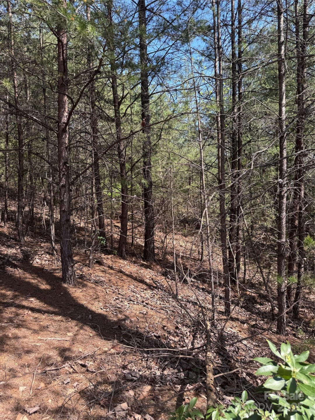 0 Brookside Parkway #10 - Photo 7