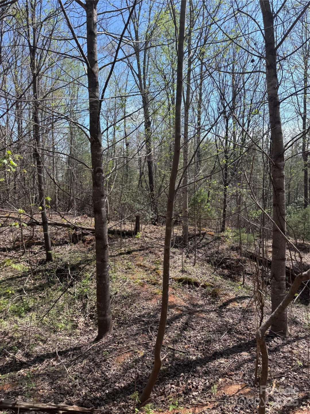 0 Brookside Parkway #10 - Photo 8