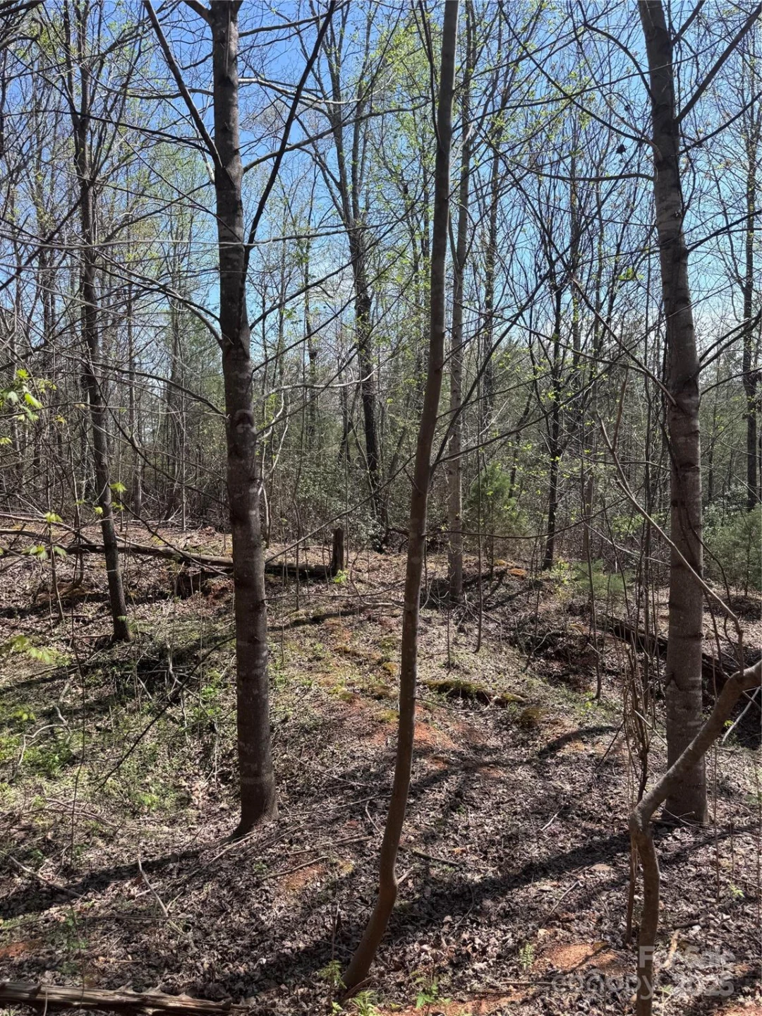0 Brookside Parkway #10 - Photo 8