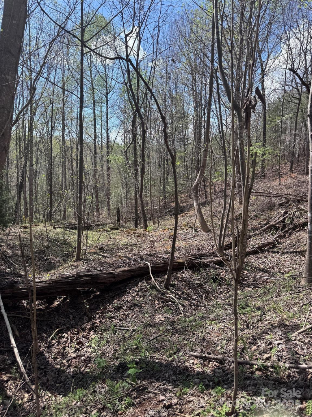 0 Brookside Parkway #10 - Photo 9