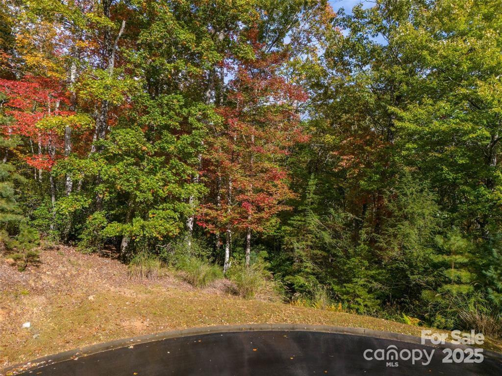 99999 Caddis Lane #91 - Photo 2