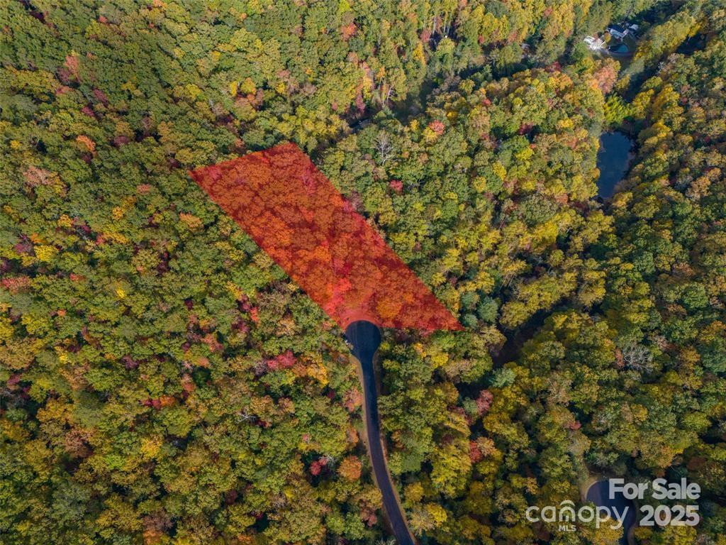 99999 Caddis Lane #91 - Photo 3