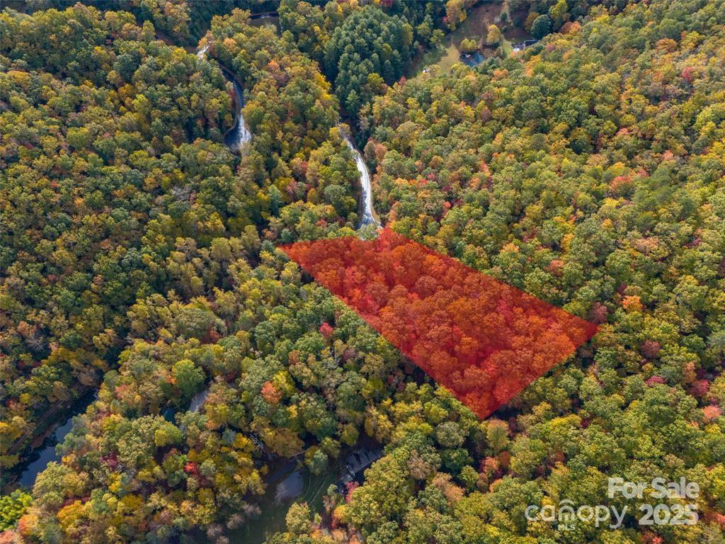 99999 Caddis Lane #91 - Photo 4